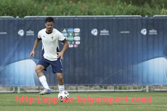 开云体育官网app下载-萨内在德甲效力的球队情况与其竞技表现总结