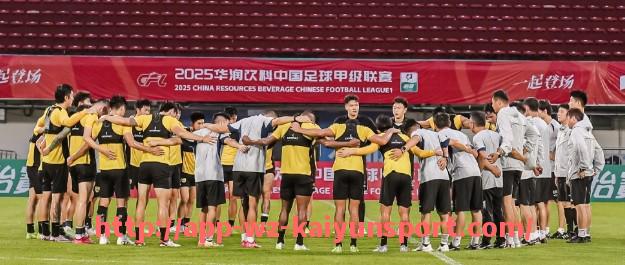 开云体育官网app下载-法甲马赛新援赛季表现评估与未来发展潜力