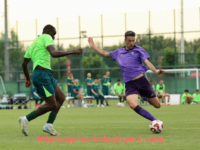 开云体育官网app下载-法甲赛季结束预测：分析赛季结束后的可能结果